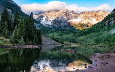 Dying Without a Will in Colorado: Ensure Your Wishes Thrive